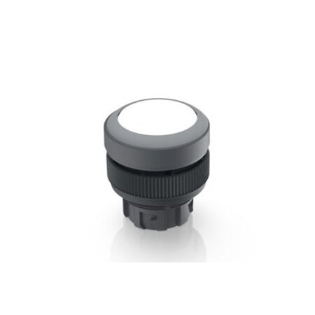 Rafi Rafix 22 Qr Pushbutton Illuminable Wt 1.30.240.001/1008